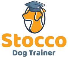 Stocco Dog Trainer